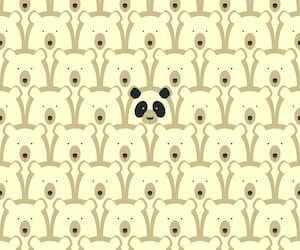 A PANDAS STORY