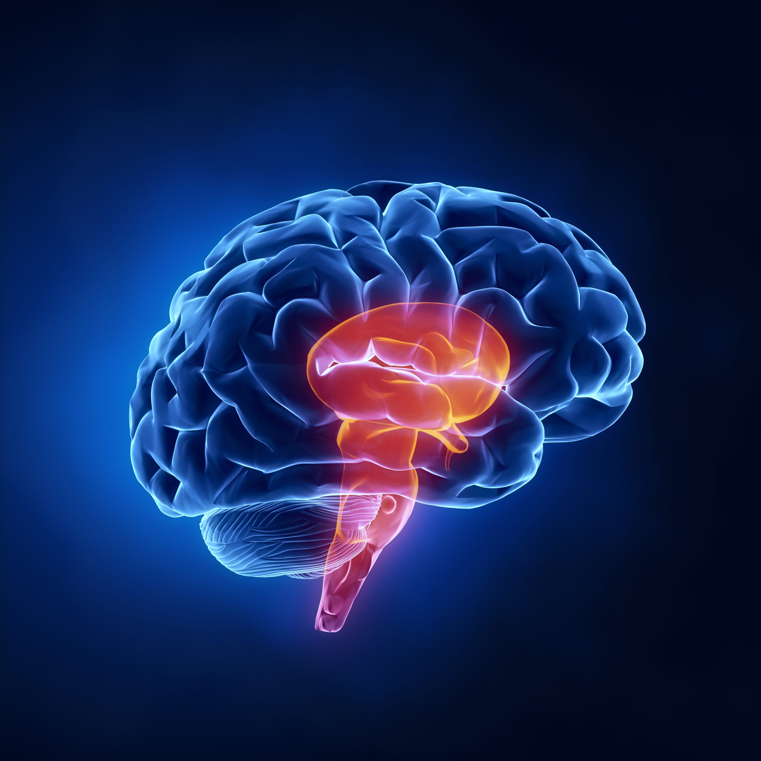 Recent Research about MRIs for Autism