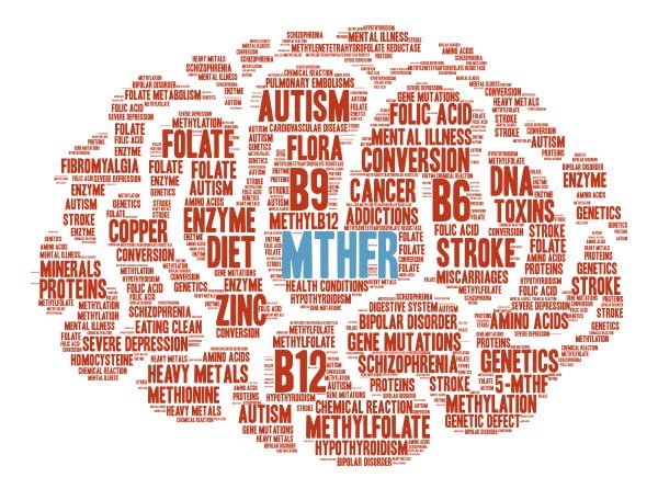 Folate Issues and Autism